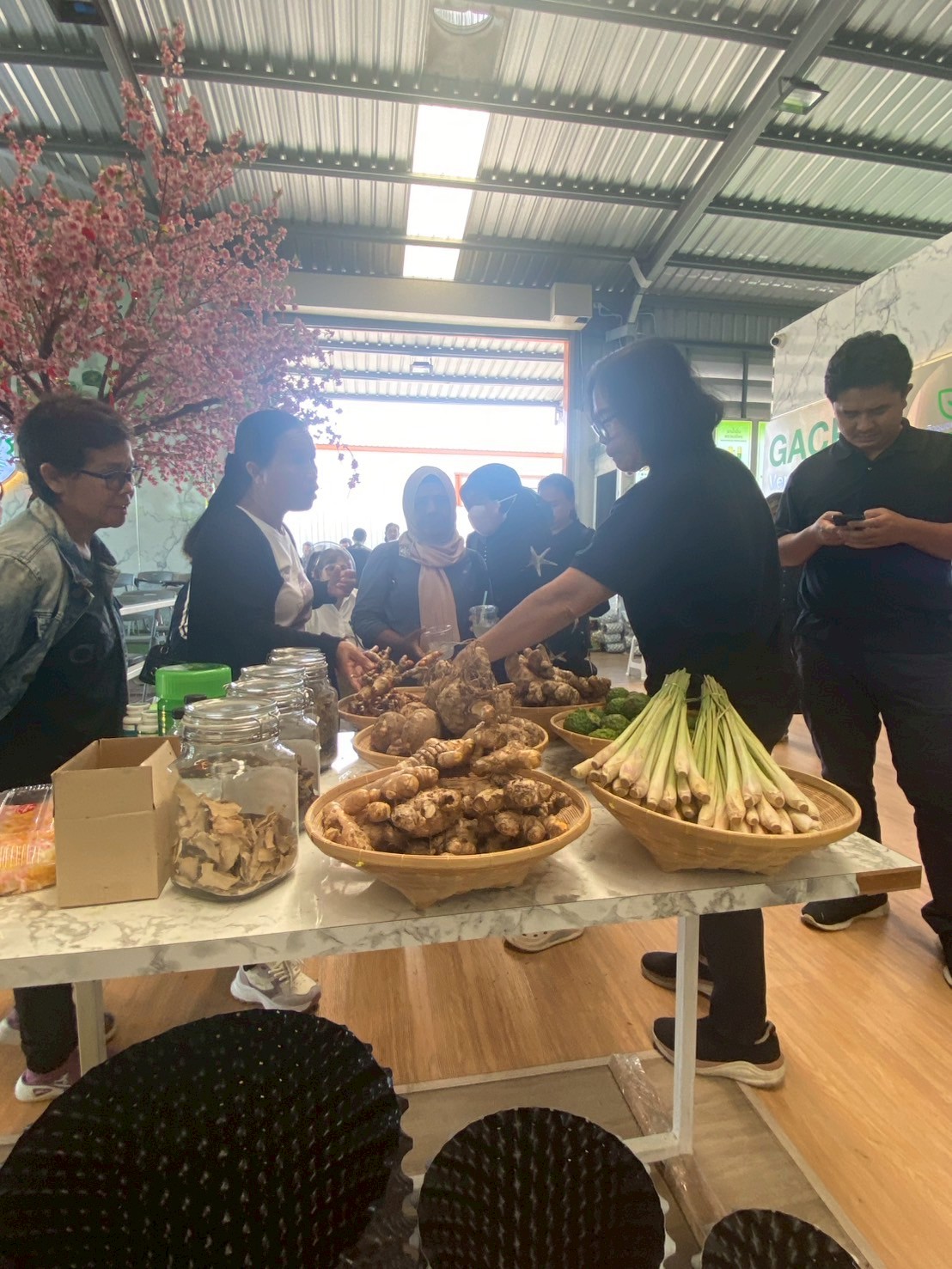 title - โครงการฝึกอบรมเชิงปฏิบัติการยกระดับการผลิตพืชสมุนไพรสู่เกษตรมูลค่าสูง